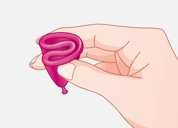 Medintim Tulipa Menstrual Cup | Application | 01 Folding | Made in Germany | Mens Health Downunder